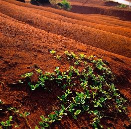 CJ 2025：《影之刃零》试玩 展现独特魂系武侠朋克风格